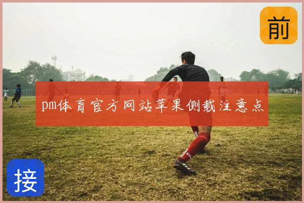 pm体育官方网站苹果侧载注意点